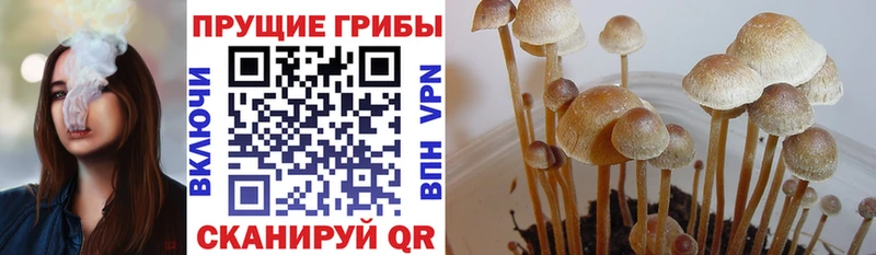 наркошоп  Калининец  Галлюциногенные грибы мухоморы 