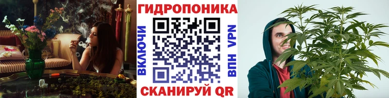 купить наркотик  Калининец  KRAKEN ONION  Бошки марихуана Bruce Banner 
